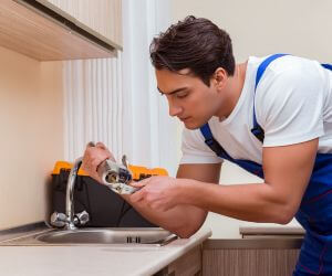 About The Faucet Pros Loughman, FL